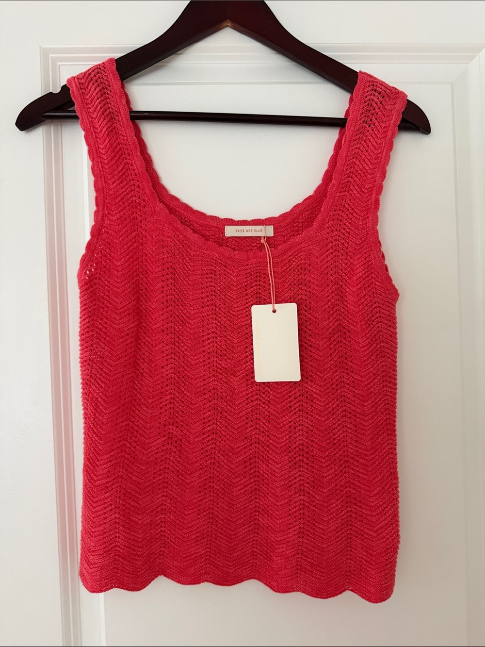 Skies Are Blue Coral Crochet Tank Top